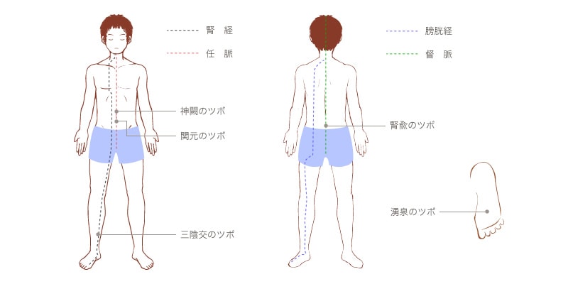 振 経絡マッサージ参考図